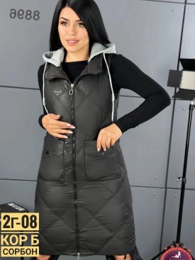 Верхняя одежда