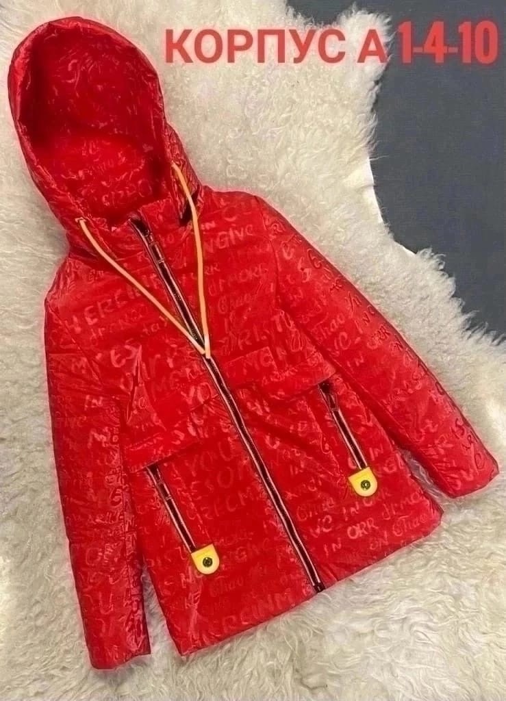 куртка демисезонная,куртка,куртка детская,куртка детская демисезонная,куртка детский