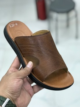 Сланцы