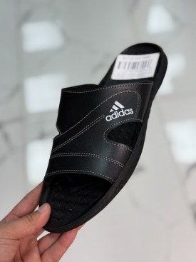 Сланцы