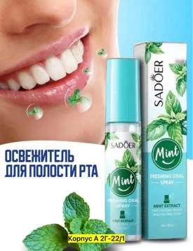 Одежда