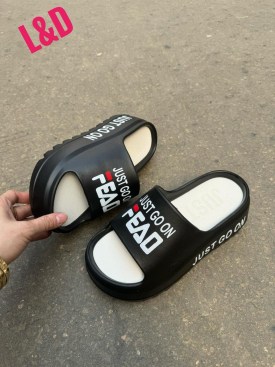 Сланцы
