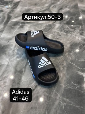 Сланцы