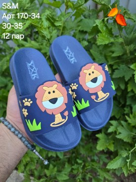 Сланцы