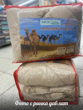 Одежда