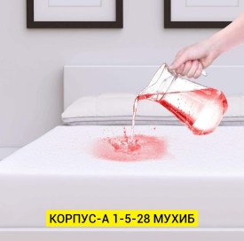 Одежда
