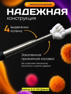 Одежда