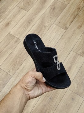 Сланцы