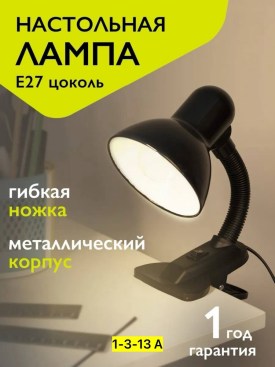 Одежда