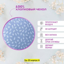 Одежда