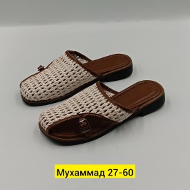 Сланцы