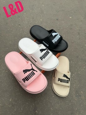 Сланцы