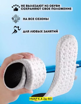 Одежда