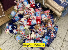 Одежда