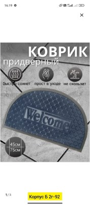 Одежда
