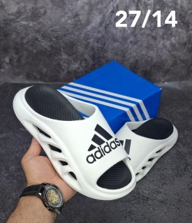 Сланцы