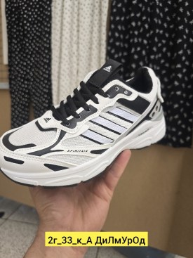 Одежда