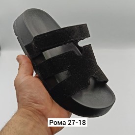 Сланцы