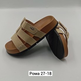 Сланцы