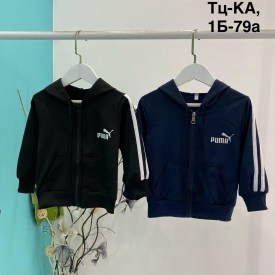 Толстовка
