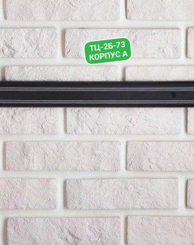 Одежда