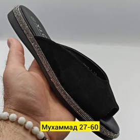 Сланцы