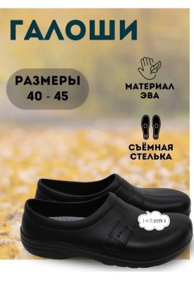 Одежда