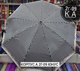 Одежда