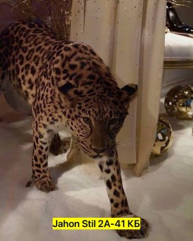 Костюм