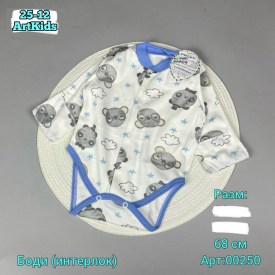 Боди