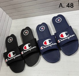 Сланцы