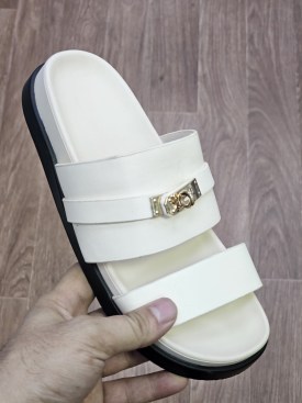 Сланцы