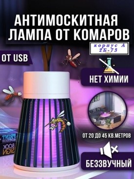 Одежда