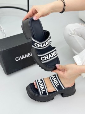 Сланцы