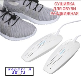 Одежда