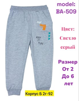 Штаны