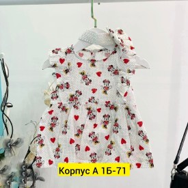 Боди