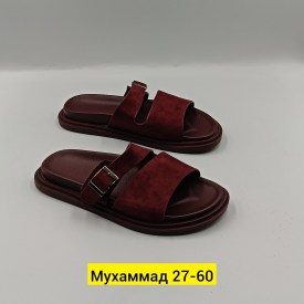 Сланцы