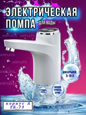 Одежда