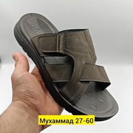 Сланцы