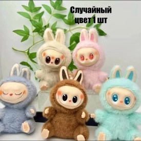 Одежда