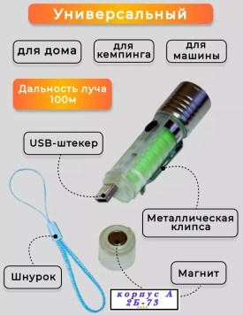 Одежда