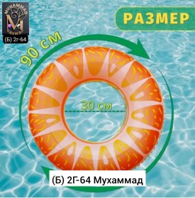 Одежда