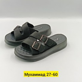 Сланцы