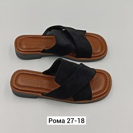 Сланцы