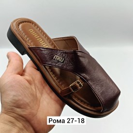 Сланцы