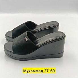 Сланцы