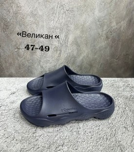 Сланцы