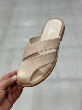 Сланцы