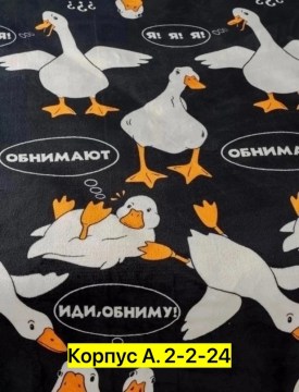 Одежда